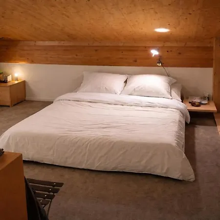 Penthouse Duplex With Sauna & Mountain Views * Pontresina